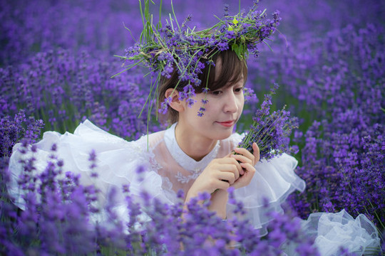 薰衣草人像