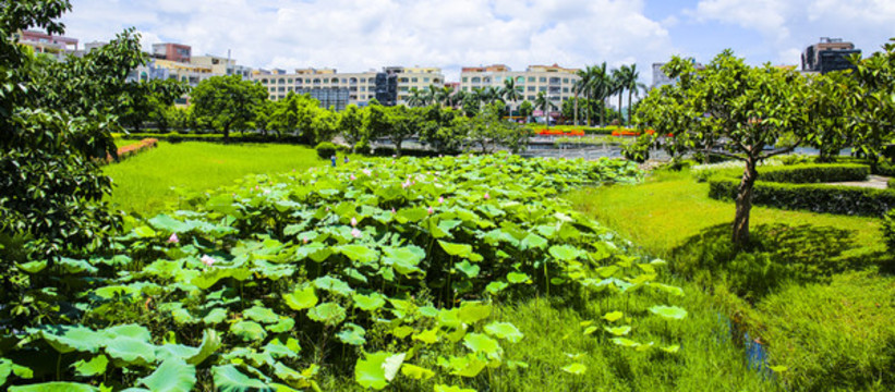 西湖公園