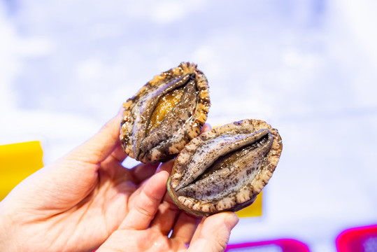 鮑魚
