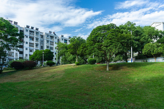 公園