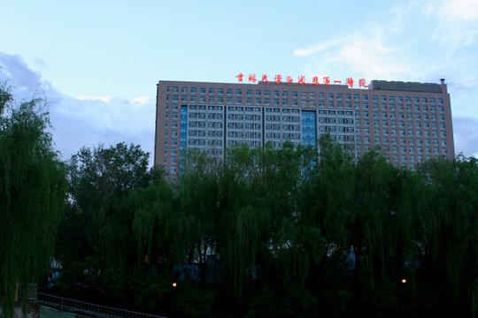 長(zhǎng)春風(fēng)光