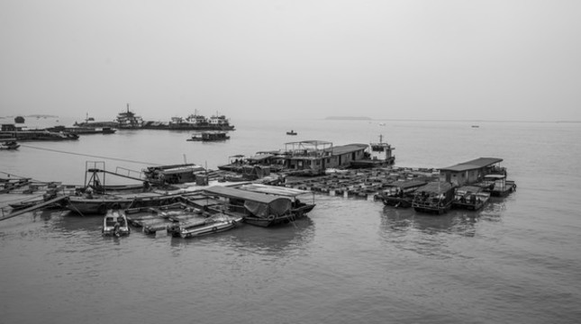 洞庭湖風光