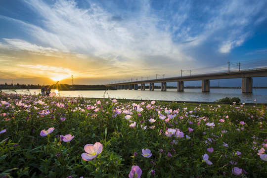 陽澄湖夕陽