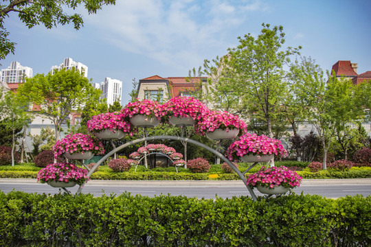 花壇