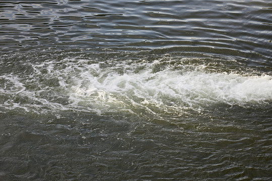 水面