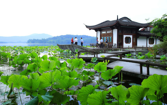 曲院風荷景區(qū)