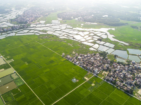 農(nóng)業(yè)旅游