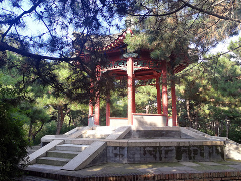 亭子夏天