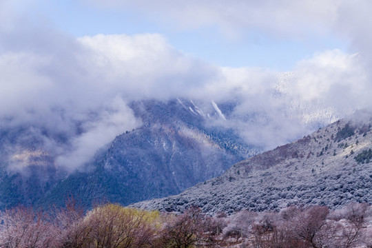 雅魯藏布江大峽谷索松村48