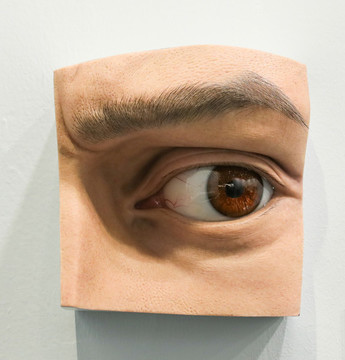 人體器官眼睛