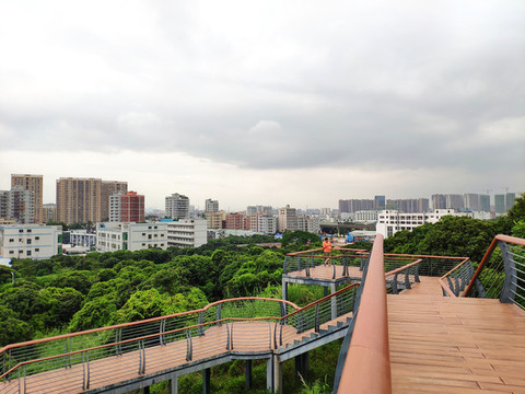 公園觀景平臺(tái)