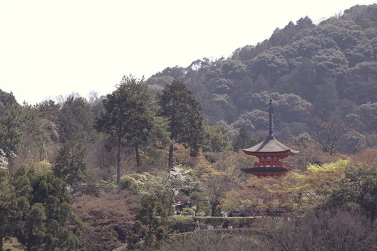 京都清水寺