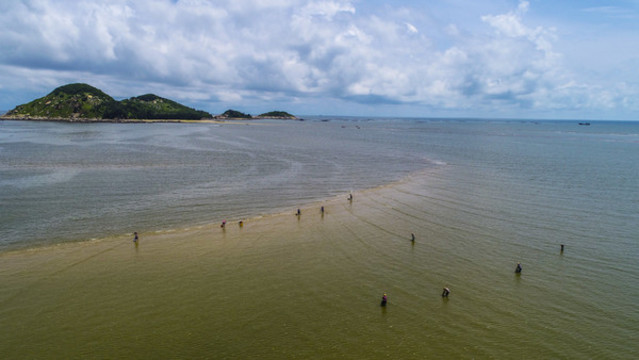 大海