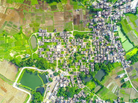 美麗鄉(xiāng)村