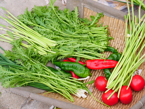 農(nóng)家綠色有機(jī)天然蔬菜