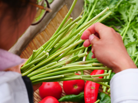 農(nóng)家綠色有機天然蔬菜