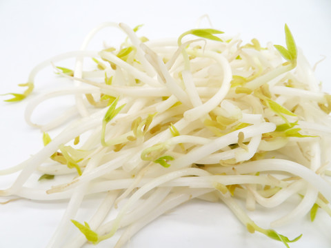 豆芽菜
