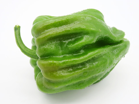 皺皮青椒