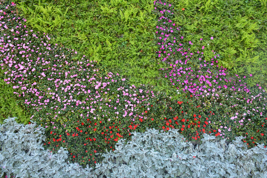 綠植墻