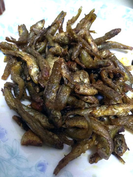 野生小溪魚