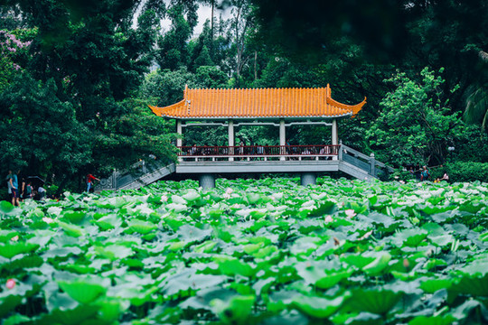 洪湖公園