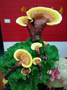 靈芝仙草
