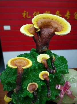 靈芝仙草
