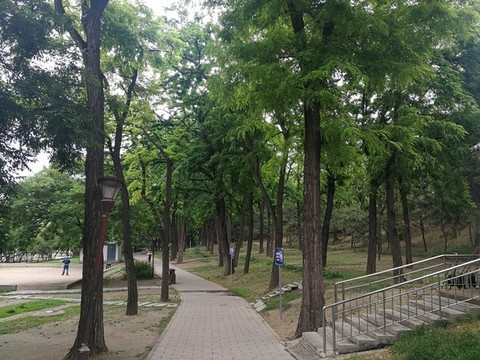 公園小路