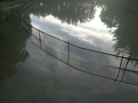 湖面倒影云彩