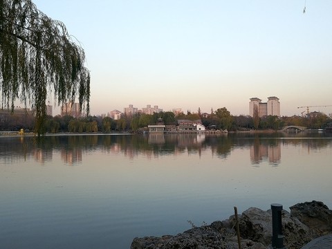 夏天公園湖面