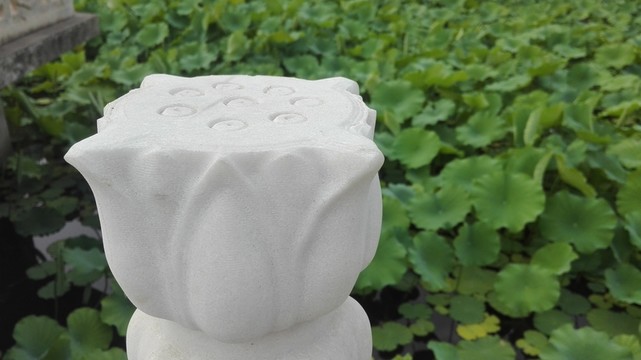 蓮花柱頭