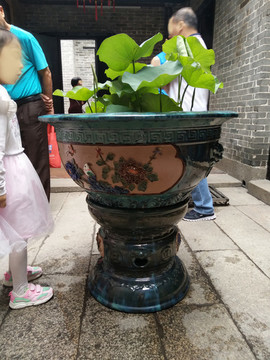 荷葉