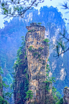 張家界天子山