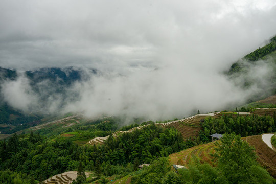 云霧梯田