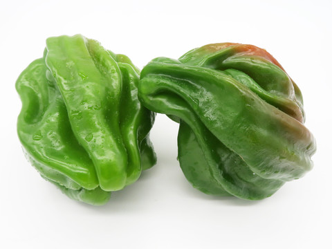 皺皮青椒