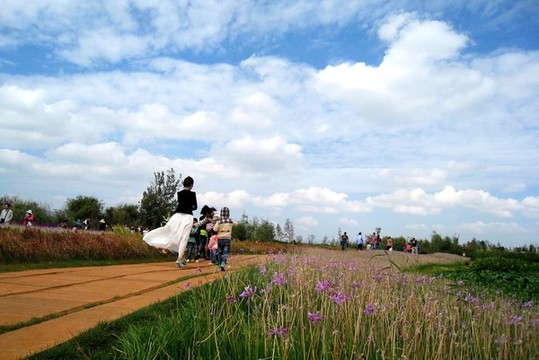 公園