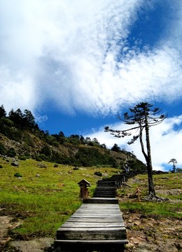 轎子雪山