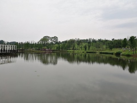 濕地公園