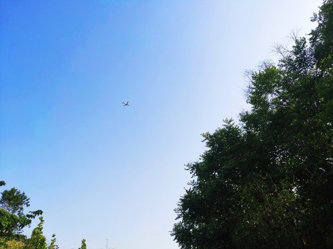 天空的飛機(jī)