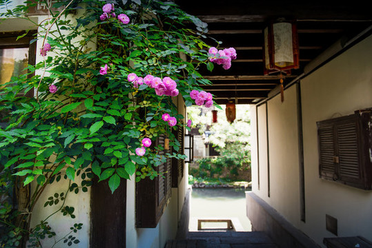 小河直街