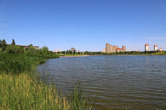 昌吉濱湖中央公園