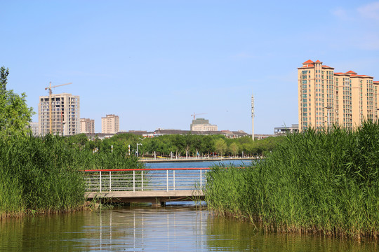 濱湖河美麗景色