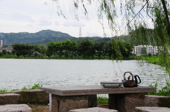 夏日的湖邊