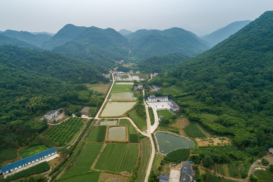 美麗鄉(xiāng)村