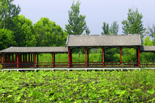水景廊橋