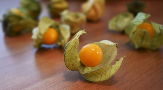 漿果