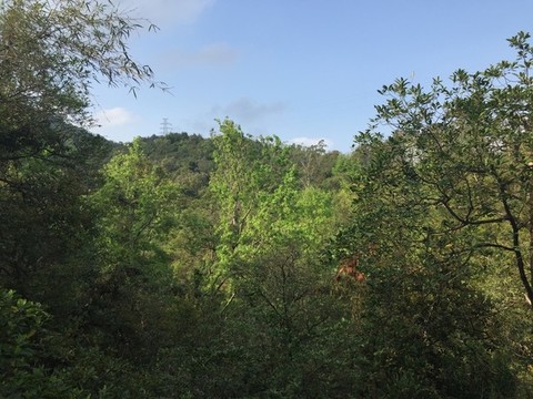 圭峰山遠(yuǎn)眺美景