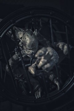 玩偶