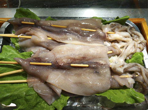 魷魚素材