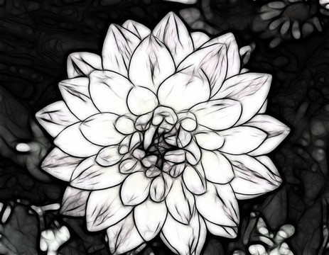 意境花卉